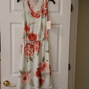 LulaRoe Dress